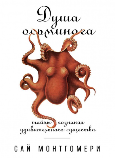 Душа осьминога: Тайны сознания удивительного существа - Сай Монтгомери аудиокниги 📗книги бесплатные в хорошем качестве  🔥 слушать онлайн без регистрации