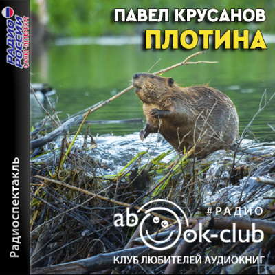 Плотина - Павел Крусанов аудиокниги 📗книги бесплатные в хорошем качестве  🔥 слушать онлайн без регистрации