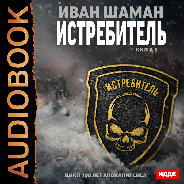 Истребитель. Книга 1 - Шаман Иван аудиокниги 📗книги бесплатные в хорошем качестве  🔥 слушать онлайн без регистрации