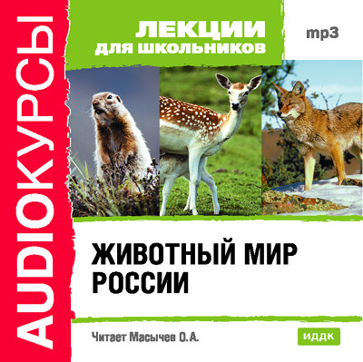 Животный мир России - Лекции для школьников аудиокниги 📗книги бесплатные в хорошем качестве  🔥 слушать онлайн без регистрации