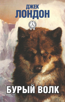 Бурый Волк - Джек Лондон аудиокниги 📗книги бесплатные в хорошем качестве  🔥 слушать онлайн без регистрации