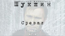 Срезал - Василий Шукшин аудиокниги 📗книги бесплатные в хорошем качестве  🔥 слушать онлайн без регистрации