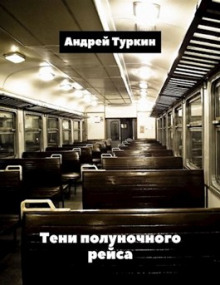 Тени полуночного рейса - Андрей Туркин аудиокниги 📗книги бесплатные в хорошем качестве  🔥 слушать онлайн без регистрации