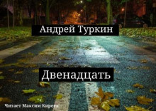 Двенадцать - Андрей Туркин аудиокниги 📗книги бесплатные в хорошем качестве  🔥 слушать онлайн без регистрации