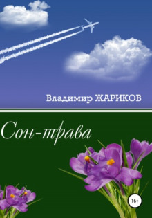 Сон-трава -                   Владимир Жариков аудиокниги 📗книги бесплатные в хорошем качестве  🔥 слушать онлайн без регистрации