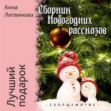 Лучший подарок -                   Анна Литвинова аудиокниги 📗книги бесплатные в хорошем качестве  🔥 слушать онлайн без регистрации