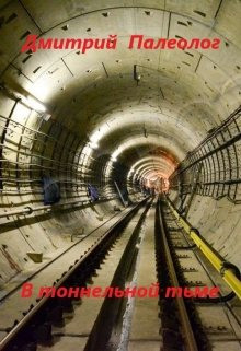 В тоннельной тьме -                   Дмитрий Палеолог аудиокниги 📗книги бесплатные в хорошем качестве  🔥 слушать онлайн без регистрации