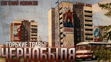Горькие Травы Чернобыля - Автор неизвестен аудиокниги 📗книги бесплатные в хорошем качестве  🔥 слушать онлайн без регистрации
