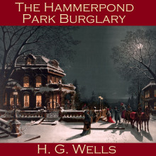 Ограбление в Хэммерпонд-парке - Герберт Уэллс аудиокниги 📗книги бесплатные в хорошем качестве  🔥 слушать онлайн без регистрации