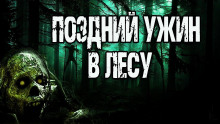 Поздний ужин в лесу - Ульяна Лобаева аудиокниги 📗книги бесплатные в хорошем качестве  🔥 слушать онлайн без регистрации