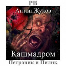 Кашмадром - Антон Жуков аудиокниги 📗книги бесплатные в хорошем качестве  🔥 слушать онлайн без регистрации