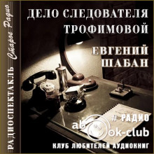 Дело следователя Трофимовой -                   Евгений Шабан аудиокниги 📗книги бесплатные в хорошем качестве  🔥 слушать онлайн без регистрации