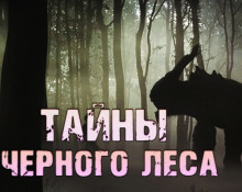 Тайны чёрного леса - Валерий Столяревский аудиокниги 📗книги бесплатные в хорошем качестве  🔥 слушать онлайн без регистрации