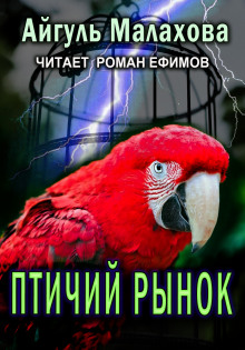 Птичий рынок -                   Айгуль Малахова аудиокниги 📗книги бесплатные в хорошем качестве  🔥 слушать онлайн без регистрации
