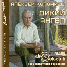Дикий Ангел -                   Алексей Коломиец аудиокниги 📗книги бесплатные в хорошем качестве  🔥 слушать онлайн без регистрации