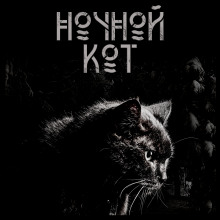Ночной кот -                   Сергей Стэн аудиокниги 📗книги бесплатные в хорошем качестве  🔥 слушать онлайн без регистрации