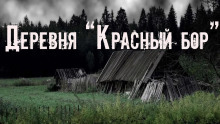 Деревня «Красный бор» - Юлия Скоркина аудиокниги 📗книги бесплатные в хорошем качестве  🔥 слушать онлайн без регистрации